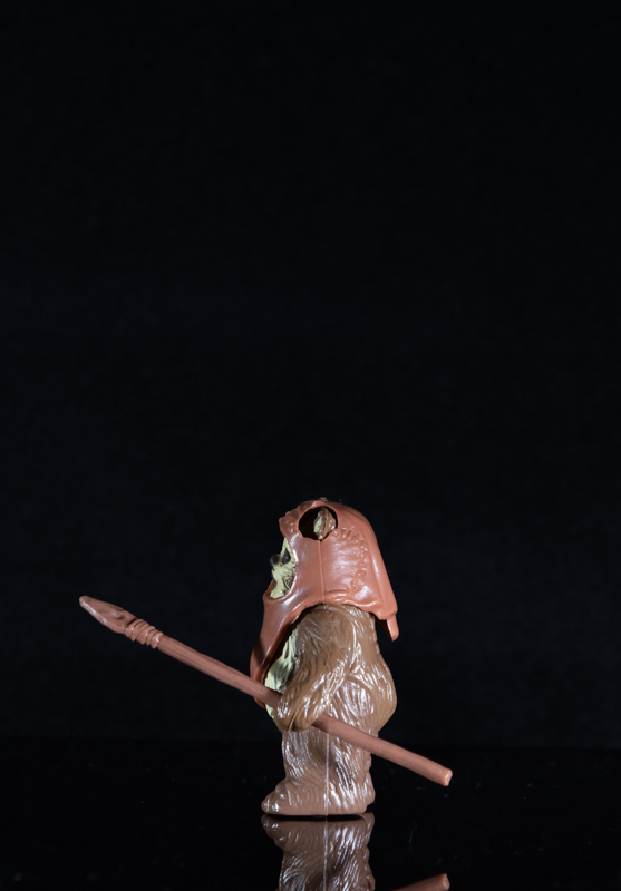 Wicket W. Warwick 